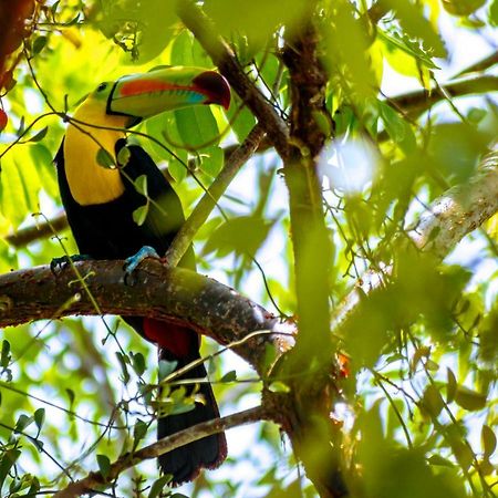 Ecolodge El Sombrero Laguna Yaxha Zewnętrze zdjęcie